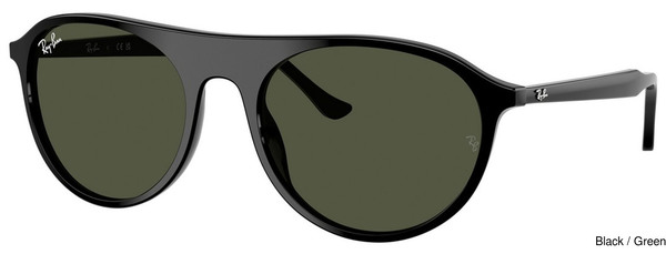 Ray-Ban Sunglasses RB2215F 901/31