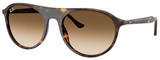 Ray-Ban Sunglasses RB2215F 902/51