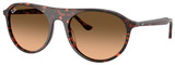 Ray-Ban Sunglasses RB2215F 14293B