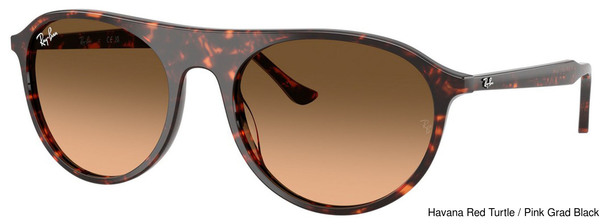 Ray-Ban Sunglasses RB2215F 14293B