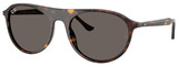 Ray-Ban Sunglasses RB2215F 902/B1