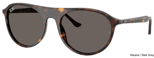 Ray-Ban Sunglasses RB2215F 902/B1