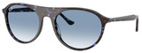 Ray-Ban Sunglasses RB2215 14303F
