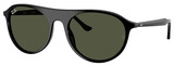 Ray-Ban Sunglasses RB2215 901/31