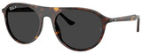 Ray-Ban Sunglasses RB2215 902/48