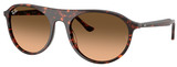 Ray-Ban Sunglasses RB2215 14293B