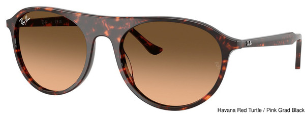 Ray-Ban Sunglasses RB2215 14293B