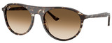 Ray-Ban Sunglasses RB2215 143151