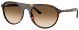 Ray-Ban Sunglasses RB2215 902/51