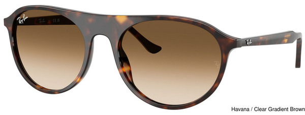 Ray-Ban Sunglasses RB2215 902/51