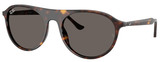 Ray-Ban Sunglasses RB2215 902/B1