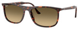 Ray-Ban Sunglasses RB2216F 14290A