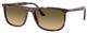 Hvn Rd Turtle / Bro Vintage Grad Blk