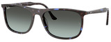 Ray-Ban Sunglasses RB2216F 1430GK