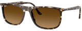 Ray-Ban Sunglasses RB2216F 143185