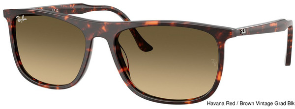 Ray-Ban Sunglasses RB2216 14290A