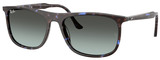 Ray-Ban Sunglasses RB2216 1430GK