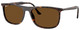 Havana / Brown Polar