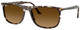 Havana Yellow Turtle / Grad Brown