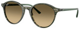 Ray-Ban Sunglasses RB2230F 14210A