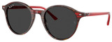 Ray-Ban Sunglasses RB2230F 141948