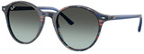 Ray-Ban Sunglasses RB2230F 1420GK