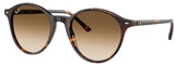 Ray-Ban Sunglasses RB2230F 902/51