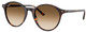 Havana / Clear Gradient Brown