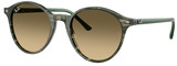 Ray-Ban Sunglasses RB2230 14210A