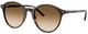 Havana / Clear Gradient Brown