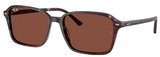 Ray-Ban Sunglasses RB2231F 1416C5