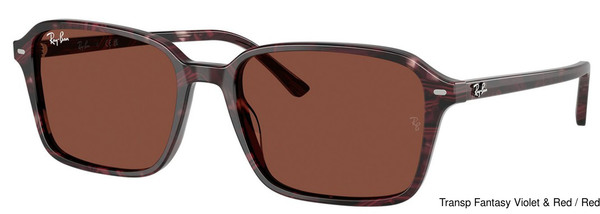 Ray-Ban Sunglasses RB2231F 1416C5