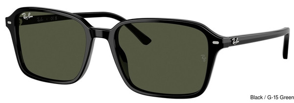 Ray-Ban Sunglasses RB2231F 901/31