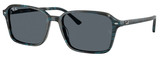 Ray-Ban Sunglasses RB2231F 1417R5