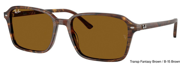 Ray-Ban Sunglasses RB2231F 141833