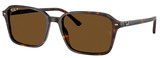 Ray-Ban Sunglasses RB2231F 902/57