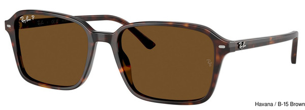 Ray-Ban Sunglasses RB2231F 902/57