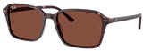 Ray-Ban Sunglasses RB2231 1416C5