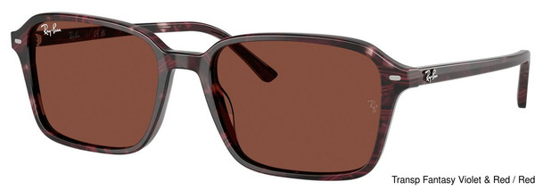 Ray-Ban Sunglasses RB2231 1416C5