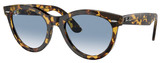 Ray-Ban Sunglasses RB2241F 13323F