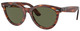 Striped Havana / Green