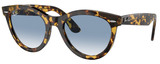 Ray-Ban Sunglasses RB2241 13323F
