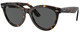 Havana / Dark Grey