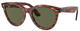 Striped Havana / Green
