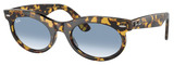 Ray-Ban Sunglasses RB2242F 13323F