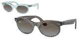 Ray-Ban Sunglasses RB2242F 138596