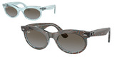 Ray-Ban Sunglasses RB2242 138596