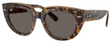 Ray-Ban Sunglasses RB2286F Doreen 1292B1