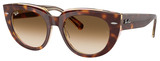 Ray-Ban Sunglasses RB2286F Doreen 141451