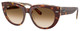 Lt Havana On Transp  / Cl Grad Brown